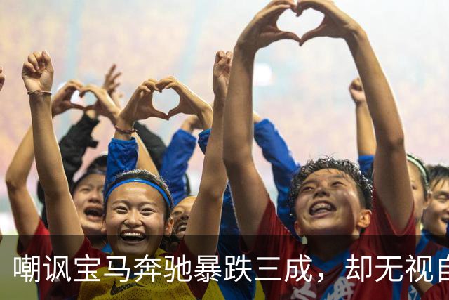 嘲讽宝马奔驰暴跌三成，却无视自己暴跌五成，谁更没脸？